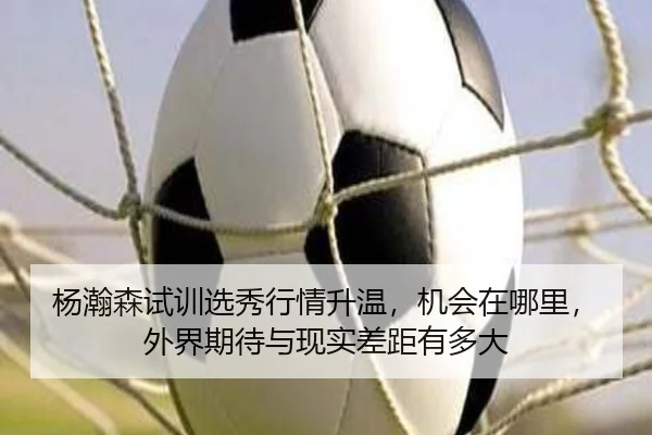 杨瀚森试训选秀行情升温，机会在哪里，外界期待与现实差距有多大